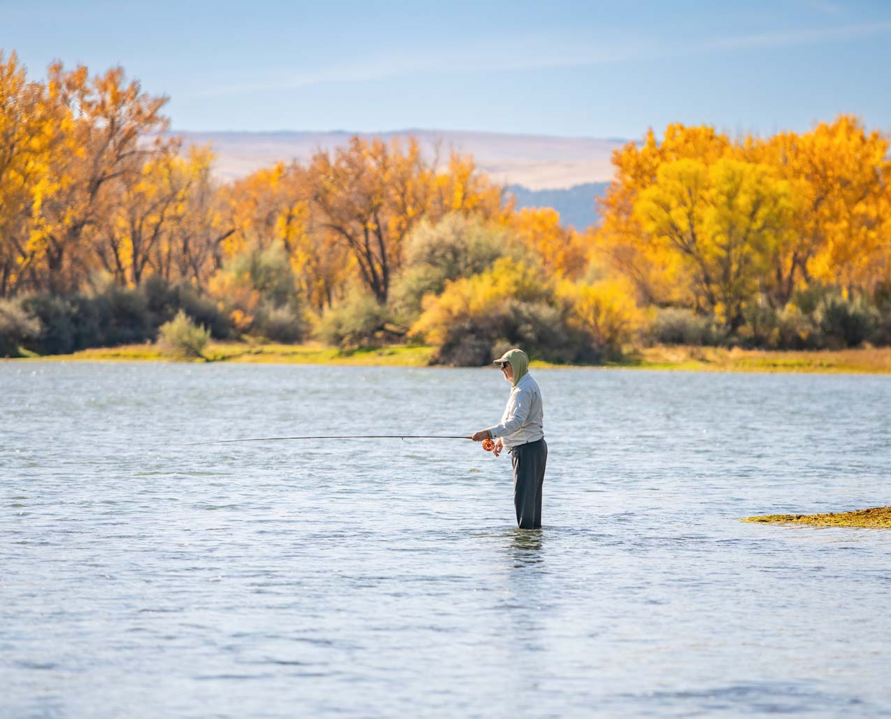 Kingfisher Lodge header image