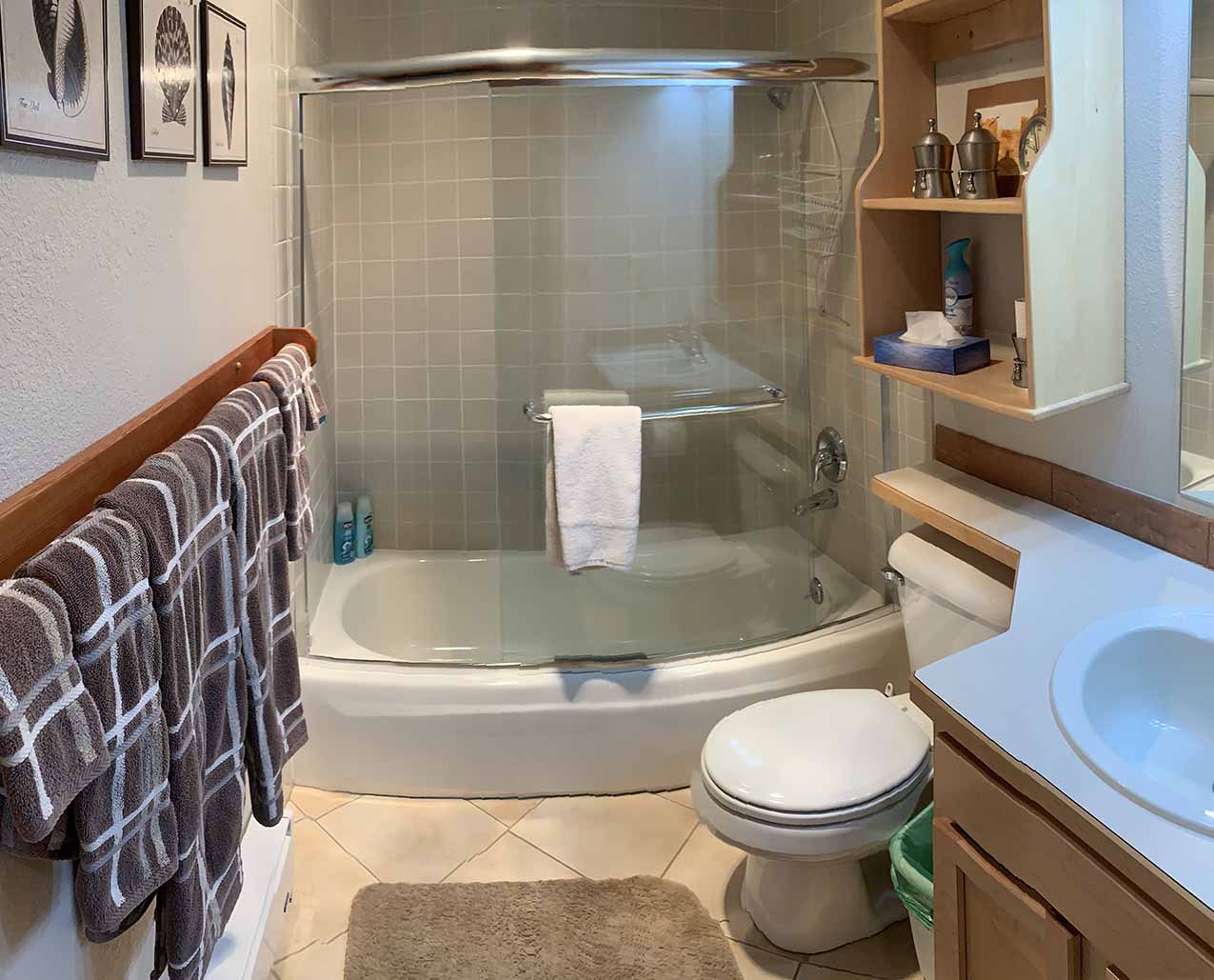 Mountain Village Condo