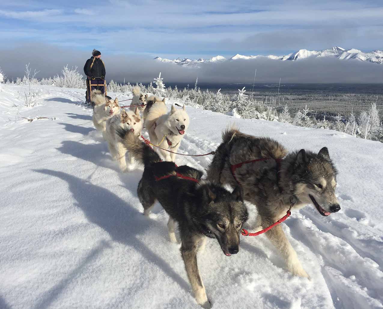 Base Camp Bigfork LLC