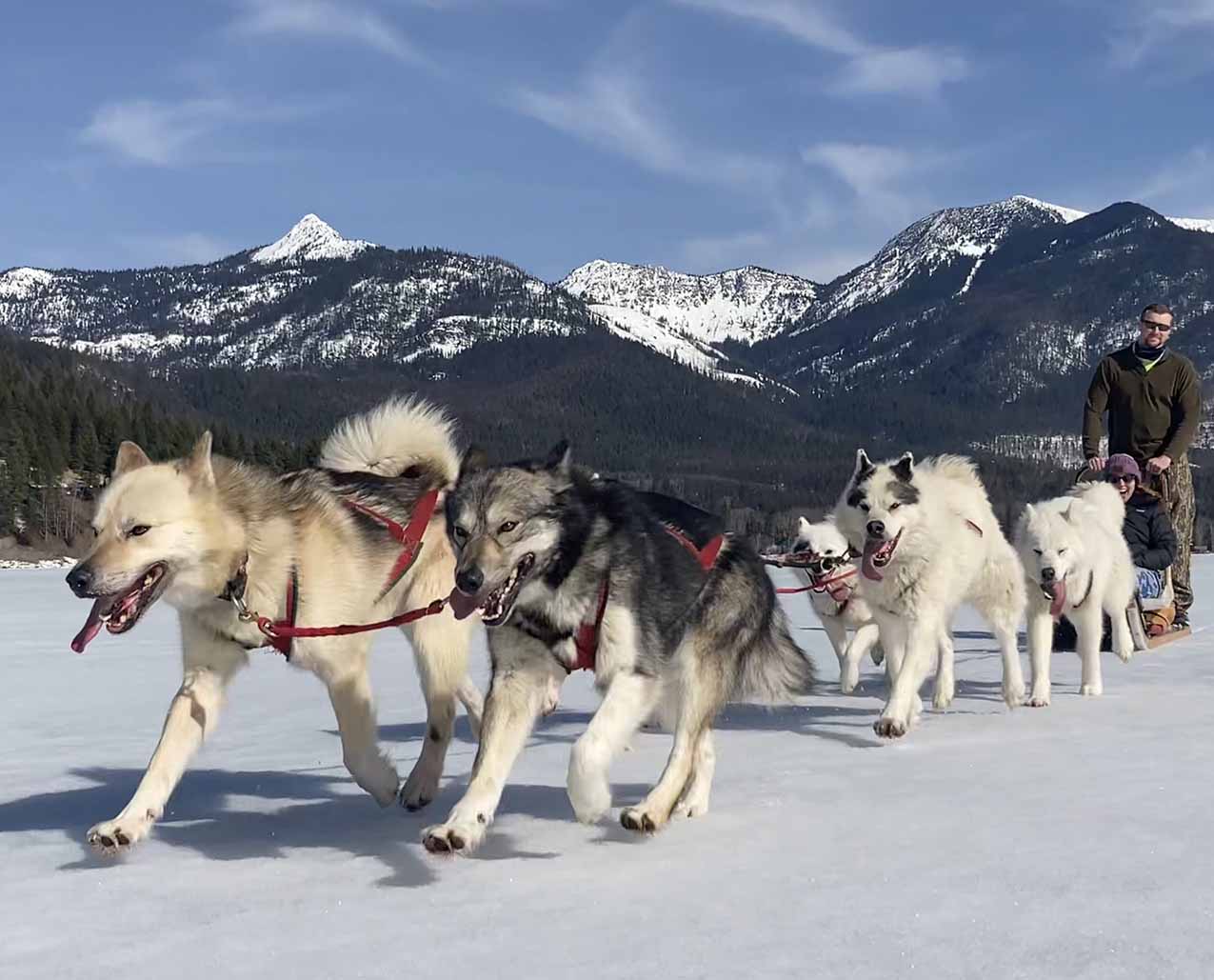 Base Camp Bigfork LLC slider image 2