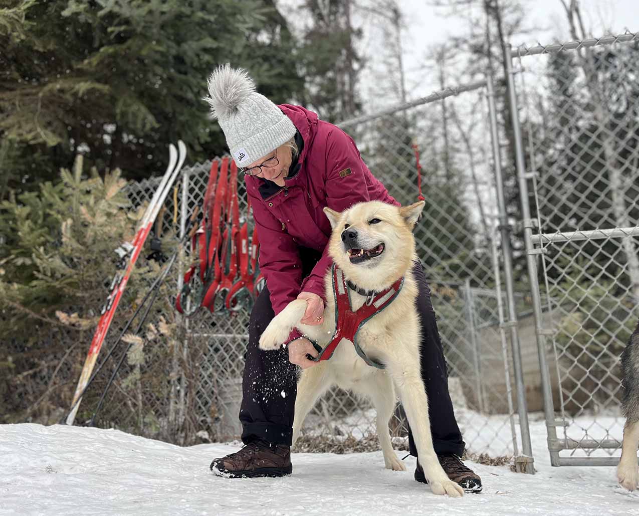 Base Camp Bigfork LLC slider image 3