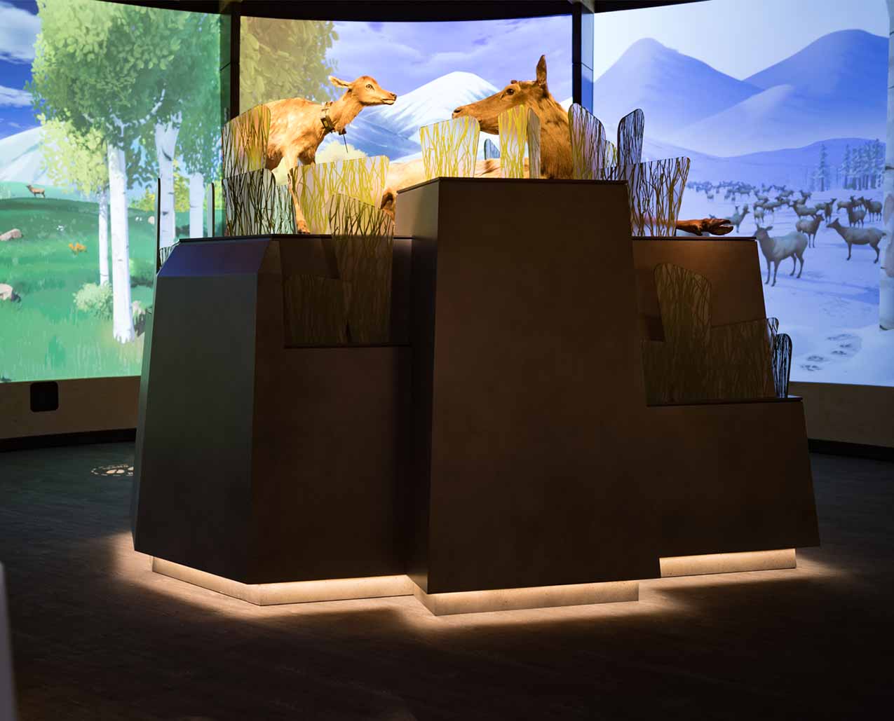 Rocky Mountain Elk Foundation's Visitor Center slider image 2