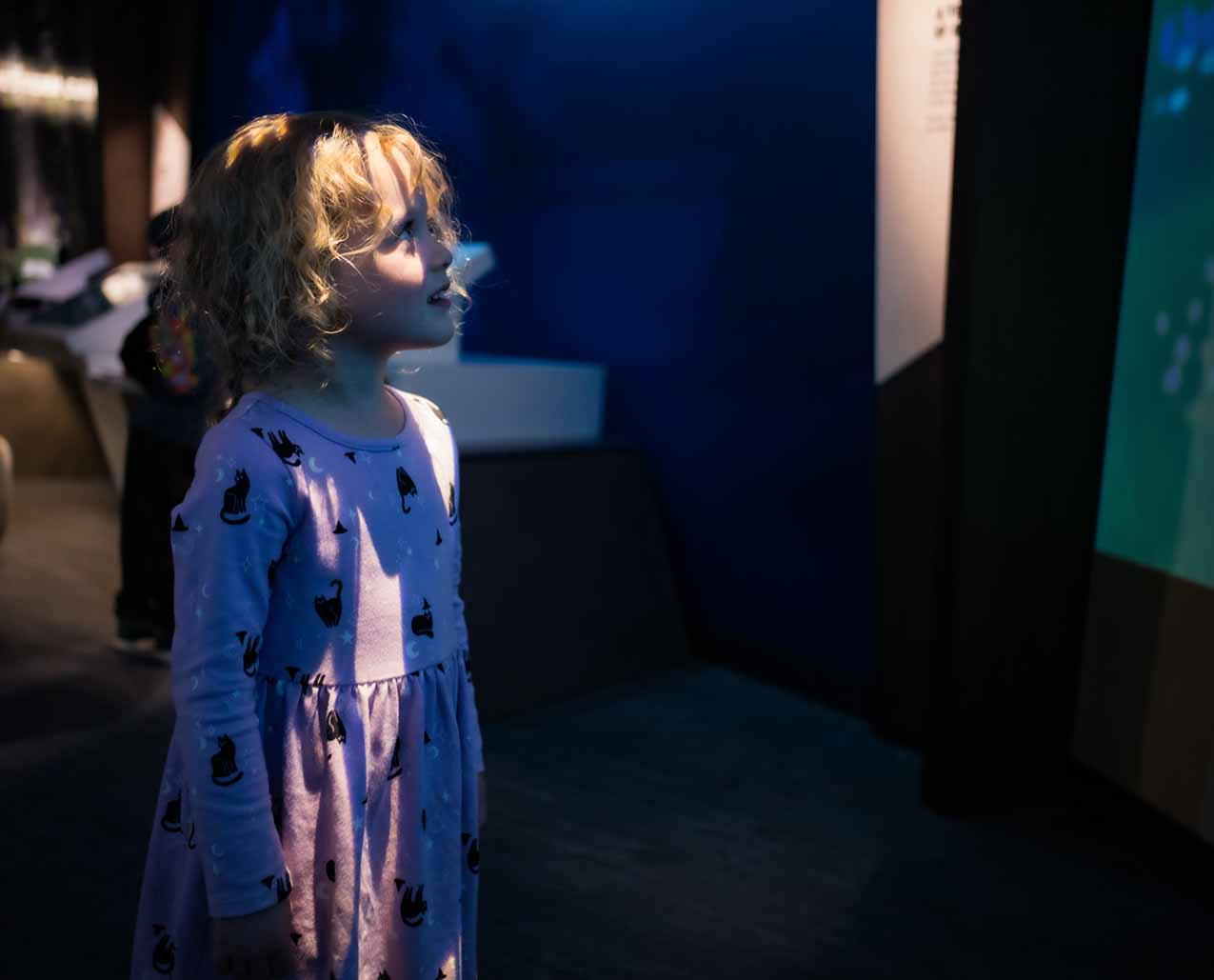 Rocky Mountain Elk Foundation's Visitor Center slider image 3