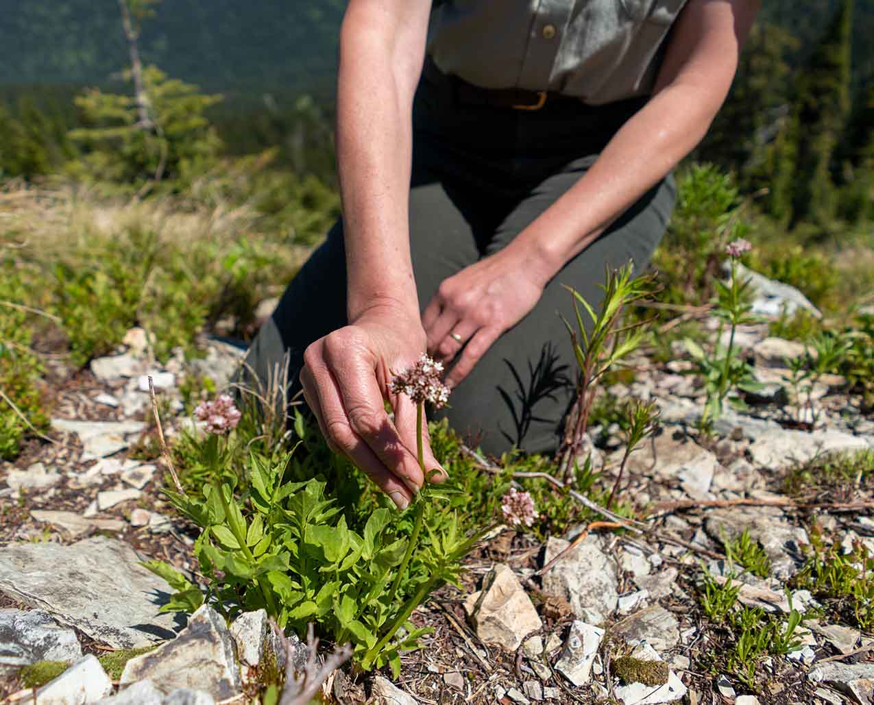Summit Nature Center