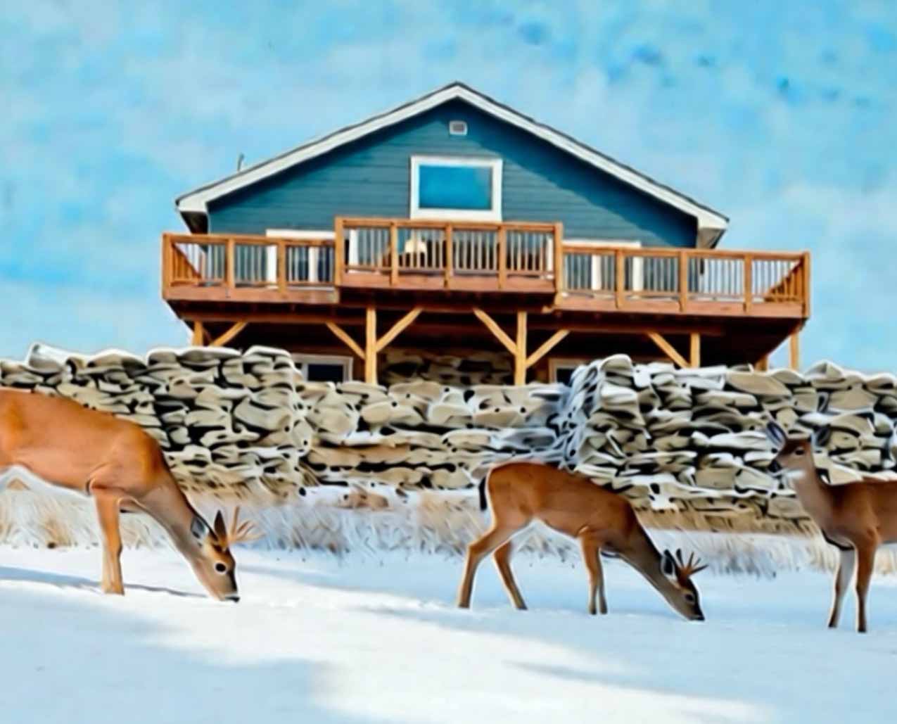 Lewistown Pine View Retreat slider image 3