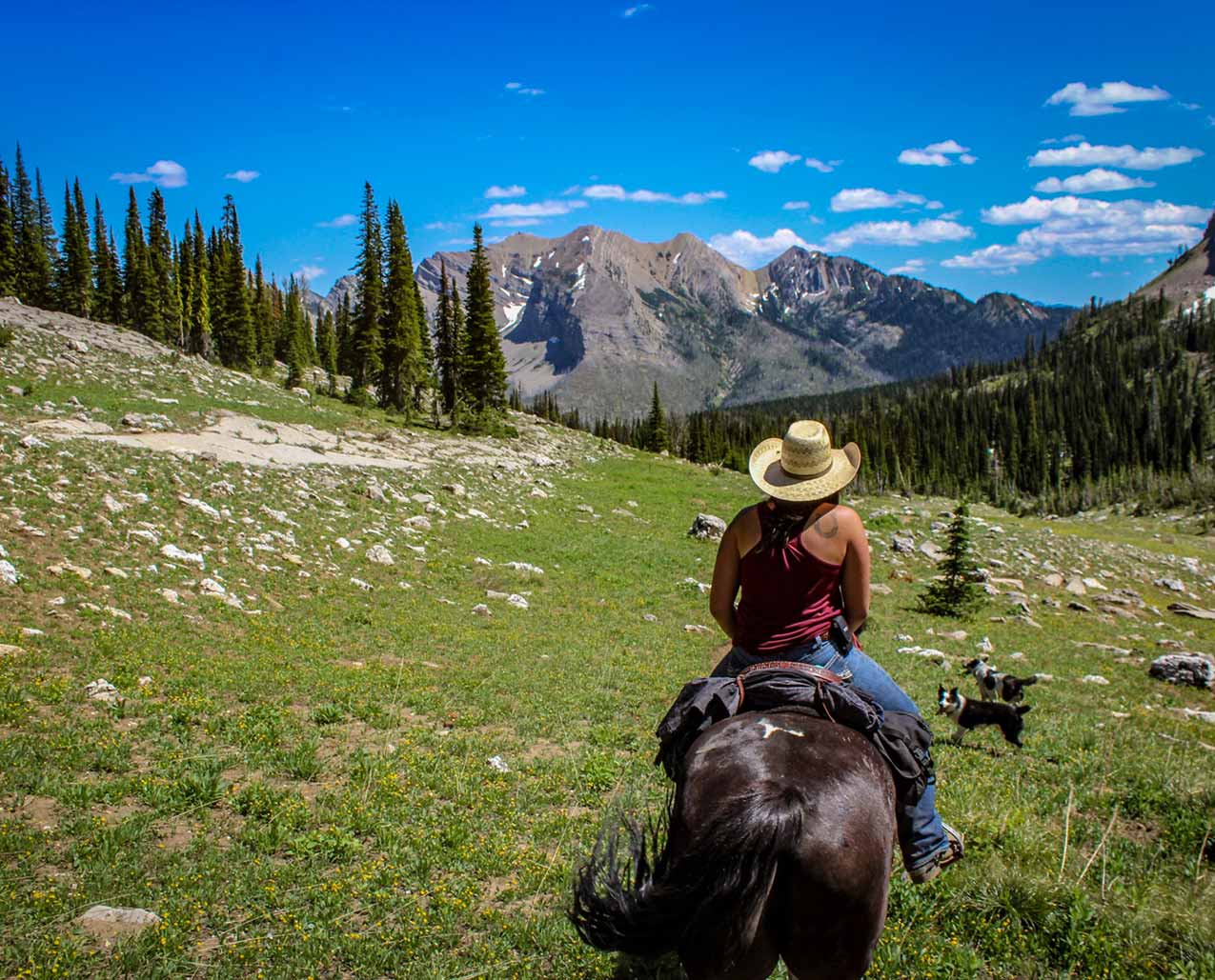 Rich Ranch Outfitting slider image 2