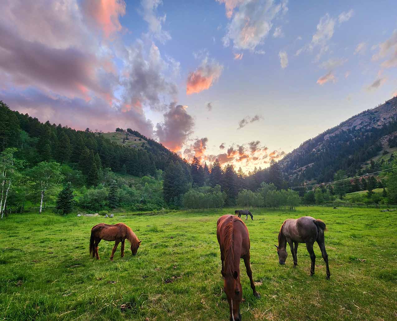 Drinking Horse Ranch Farmhouse Lodge slider image 1
