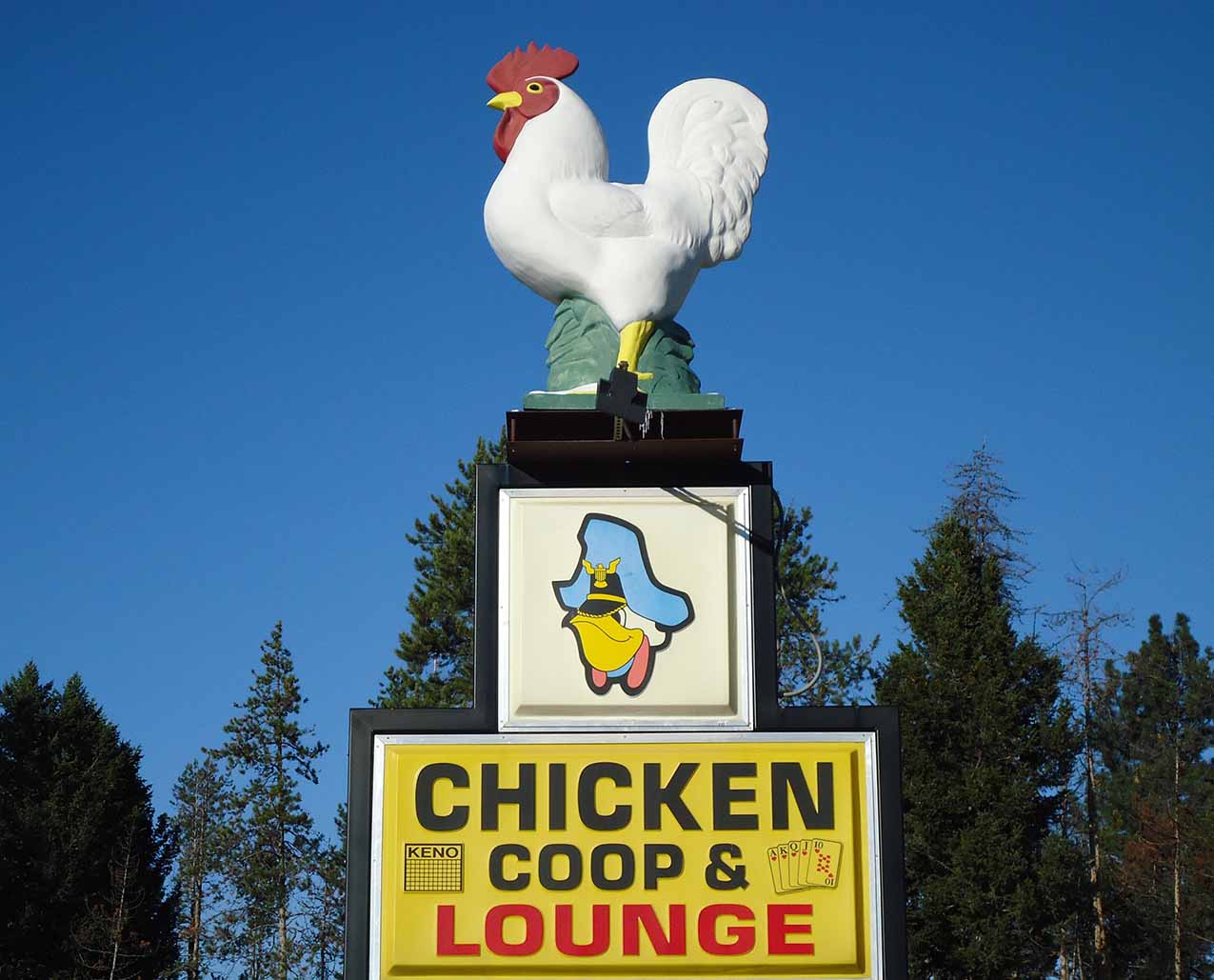 Seeley Chicken Coop & Lounge