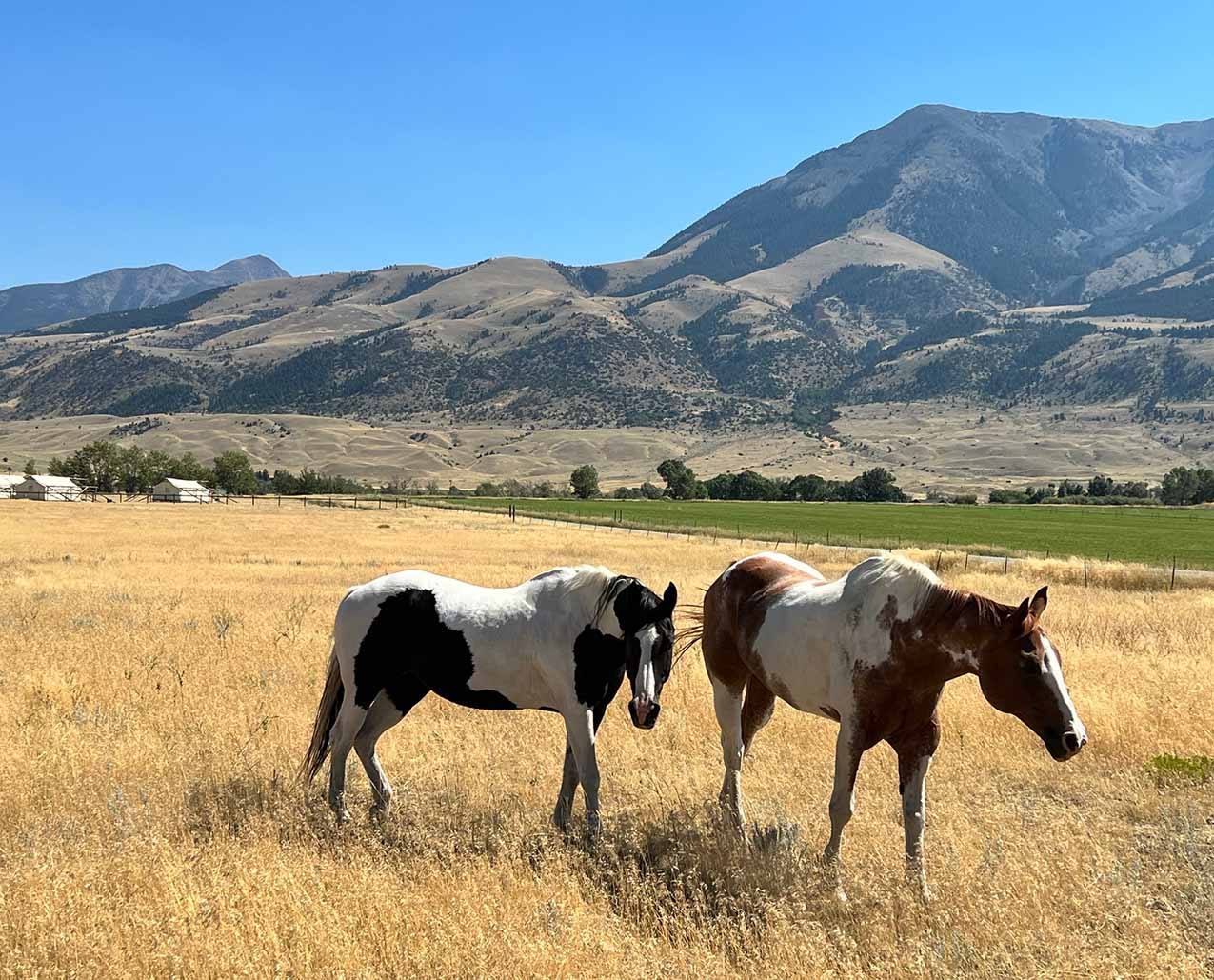 Yellowstone Dreamin Retreat slider image 3
