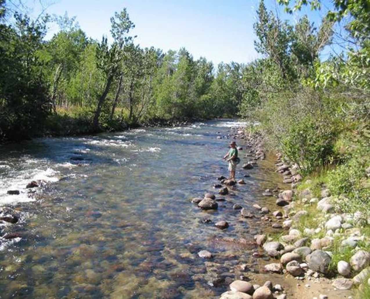 Montana Guest House slider image 1