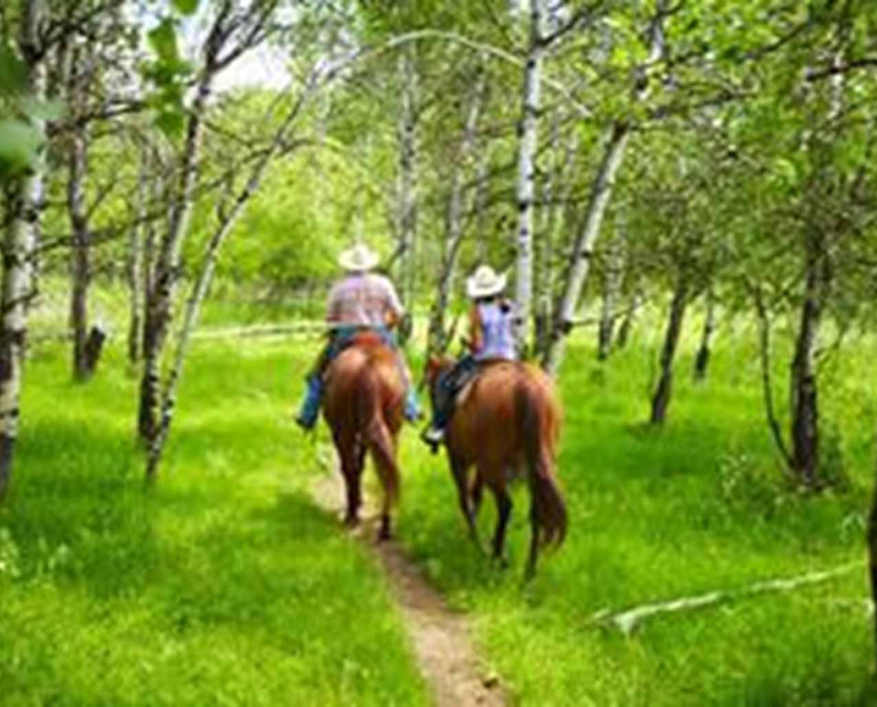 Montana Guest House slider image 4