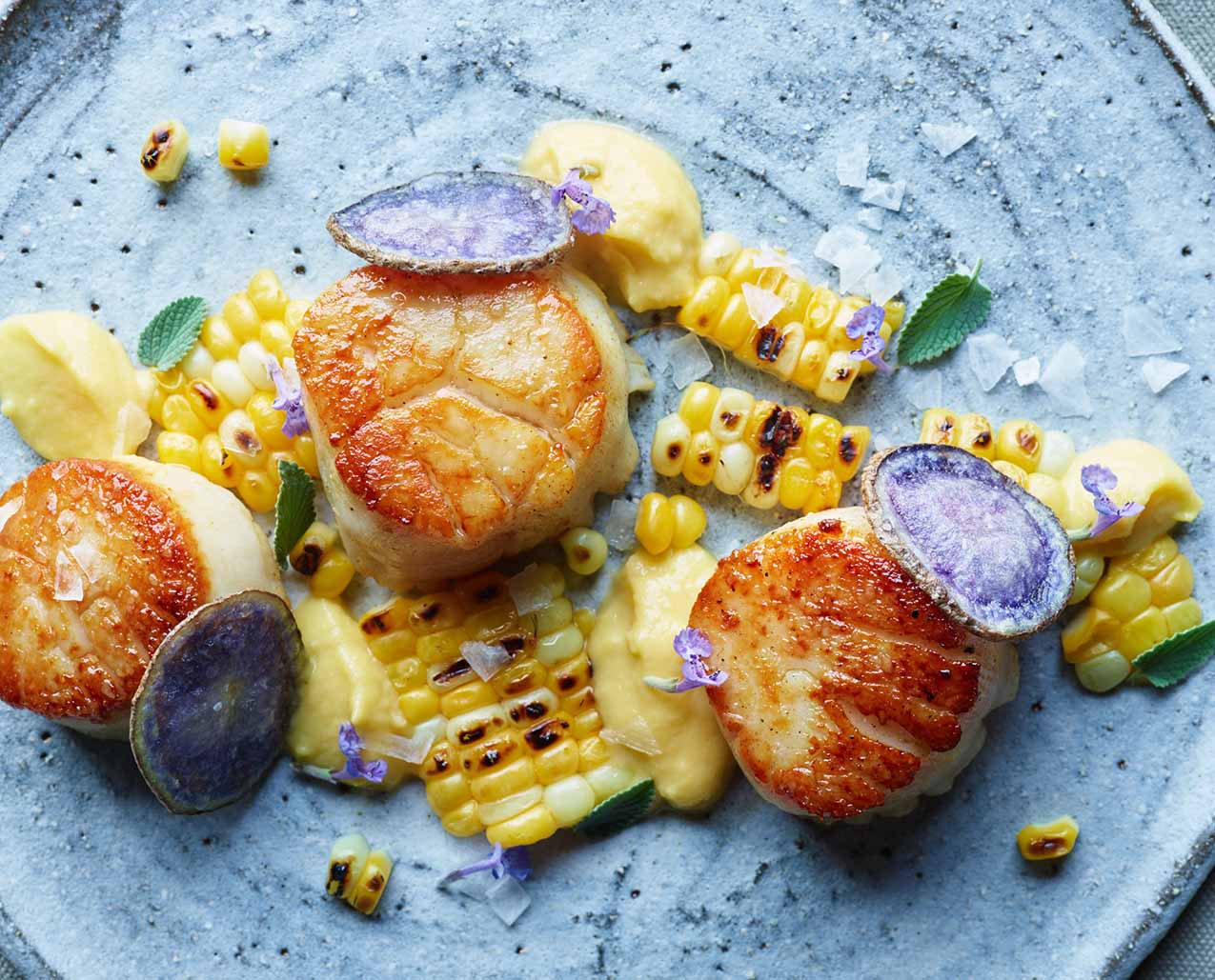 Pomp at the Resort at Paws Up