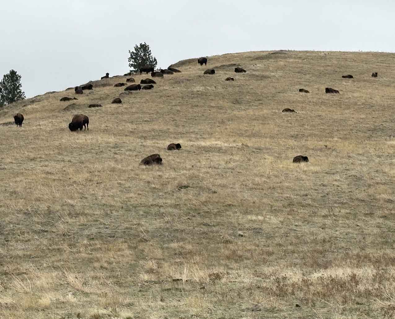 North Sky Adventures slider image 3