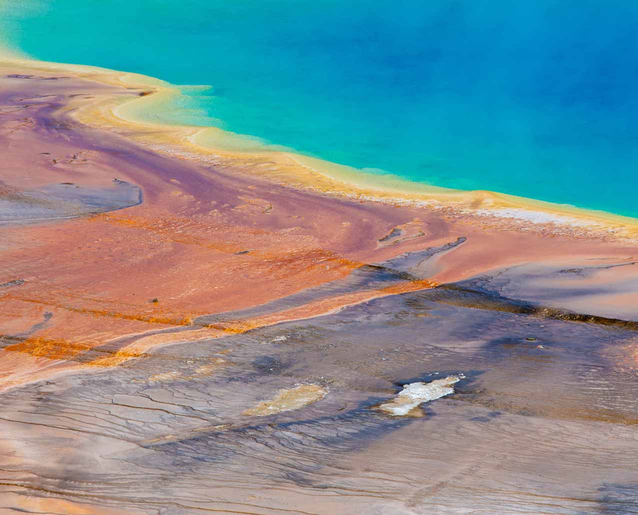 Backroads Bear Adventures slider image 1