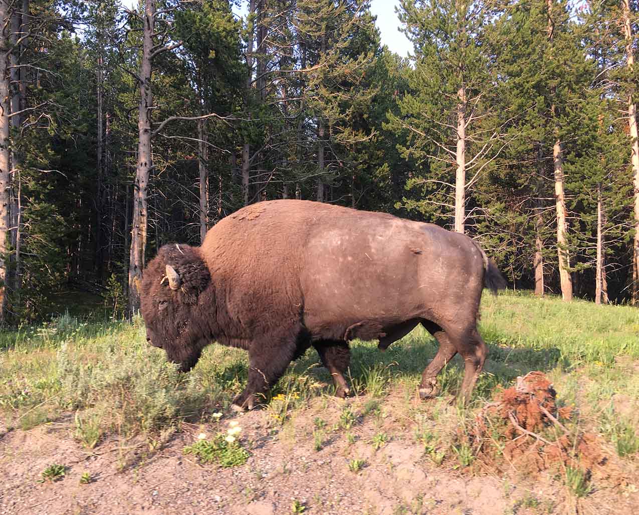 Travel with the Schoeps slider image 3