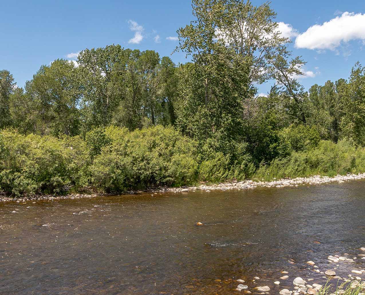 Gallatin River Homestead