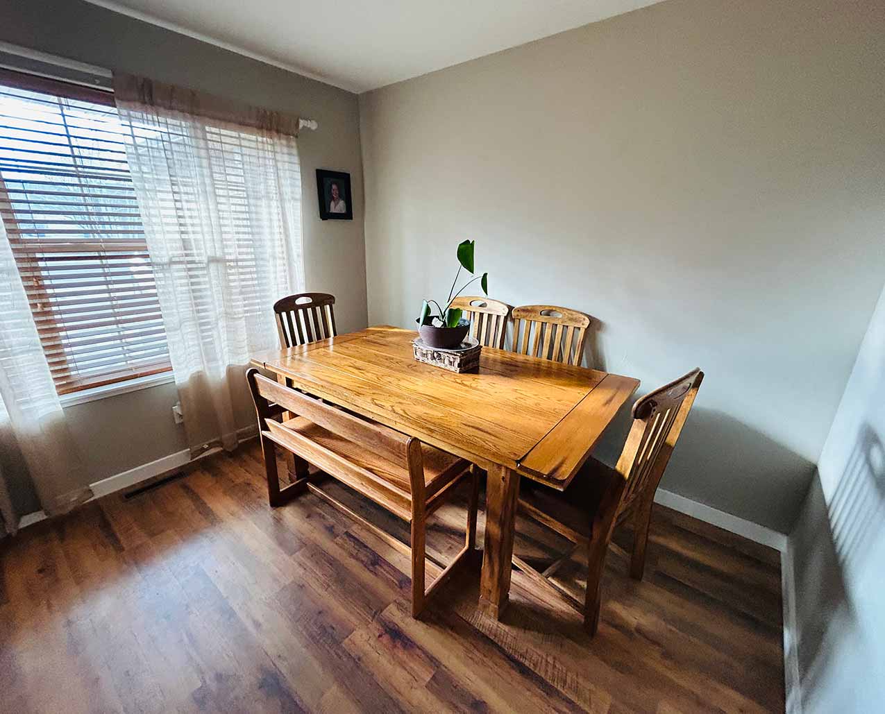 Star Gazer Paradise slider image 1