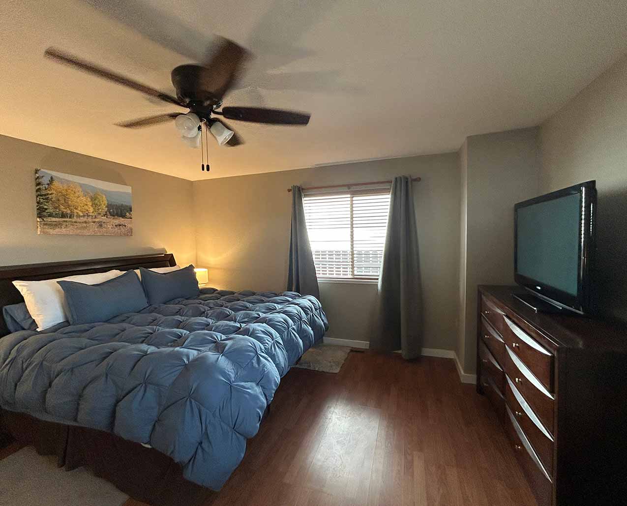 Star Gazer Paradise slider image 5