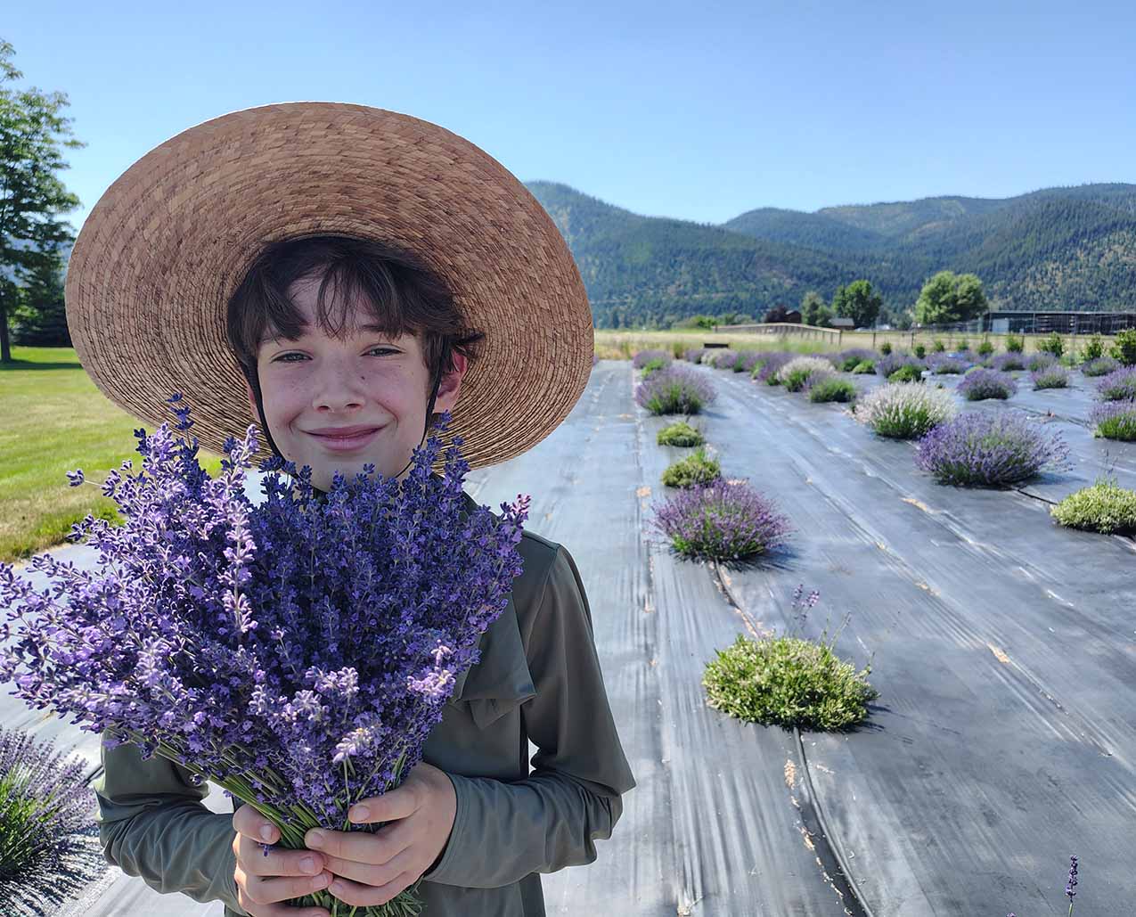 Forsythe Farms Lavender
