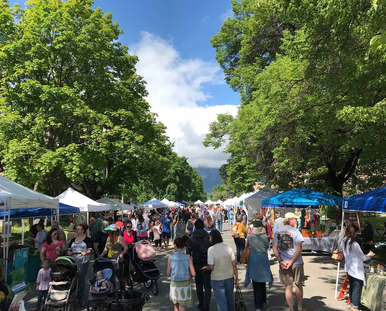 Hamilton Farmers Market Cooperative slider image 3