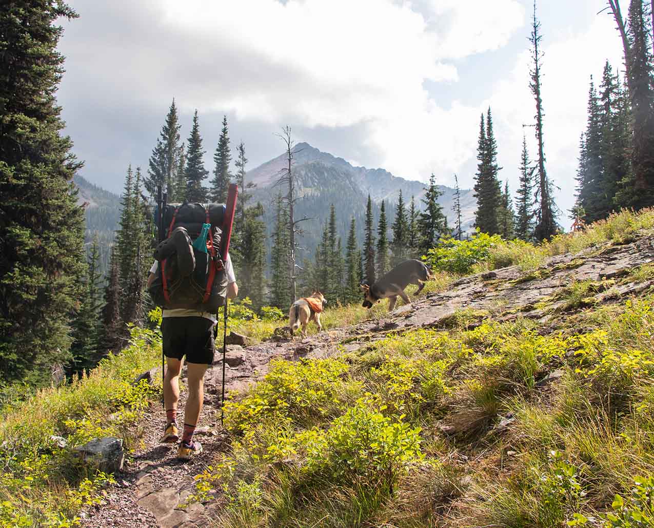 Glacier Hikes & Bikes