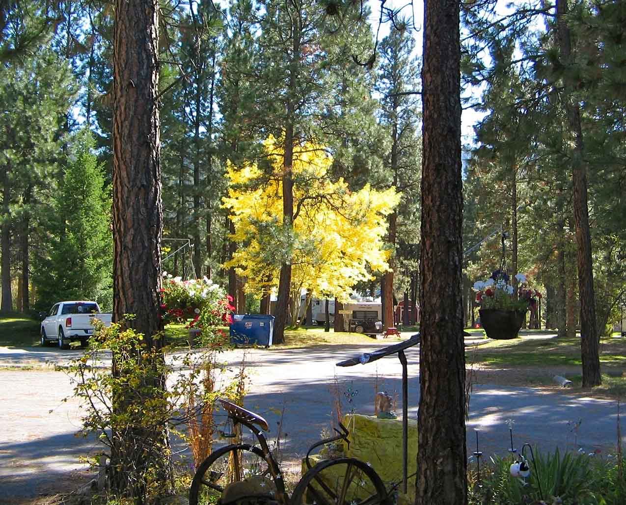 A photo of Yellowrock Campground