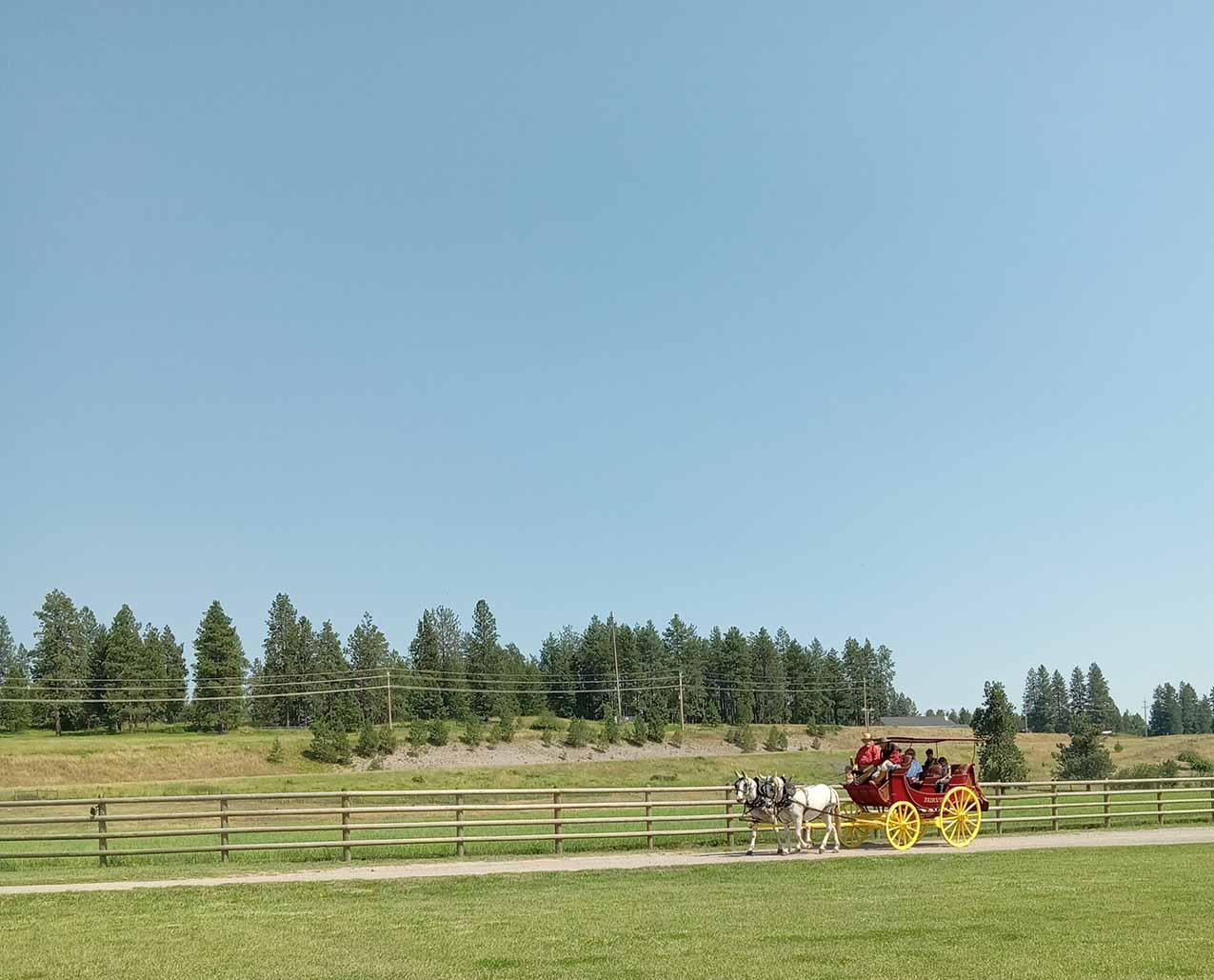 Bigfork Stagecoach Rides