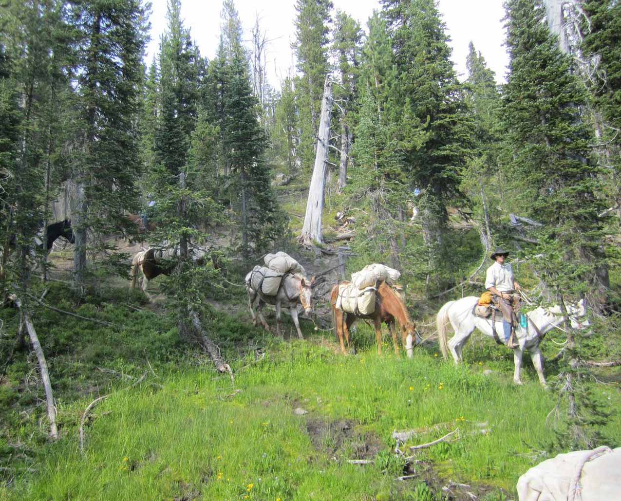Cache Creek Outfitters