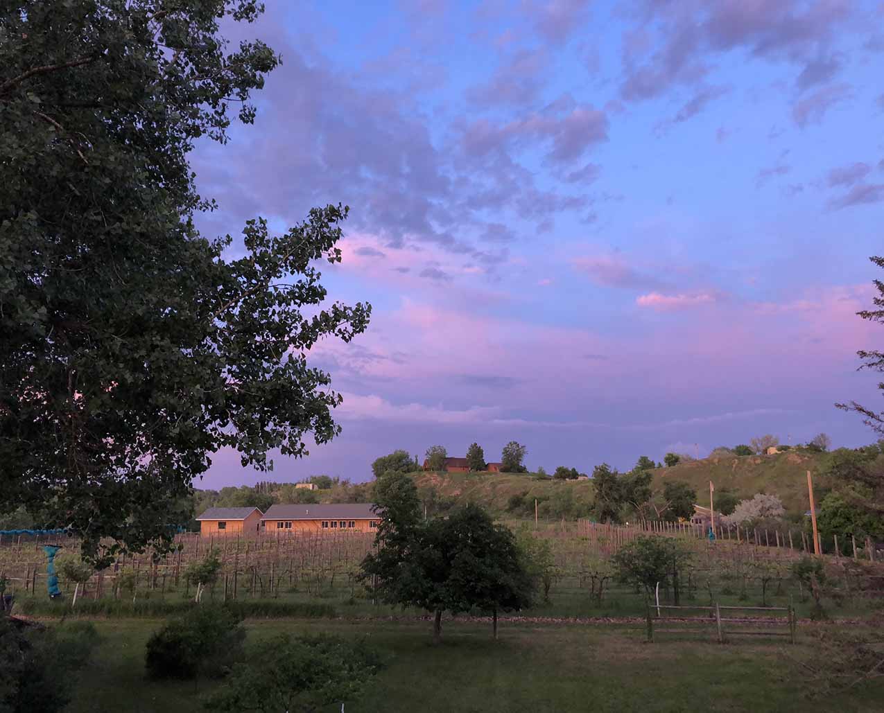 Tongue River Winery B&B slider image 4