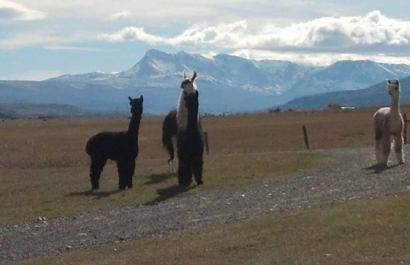 A photo of Paul Ranch Montana