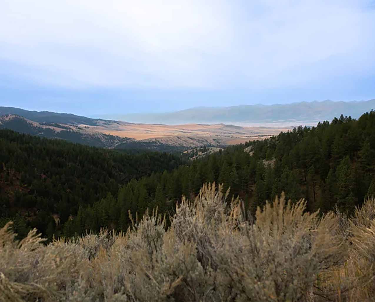 A photo of Burnt Fork Ranch