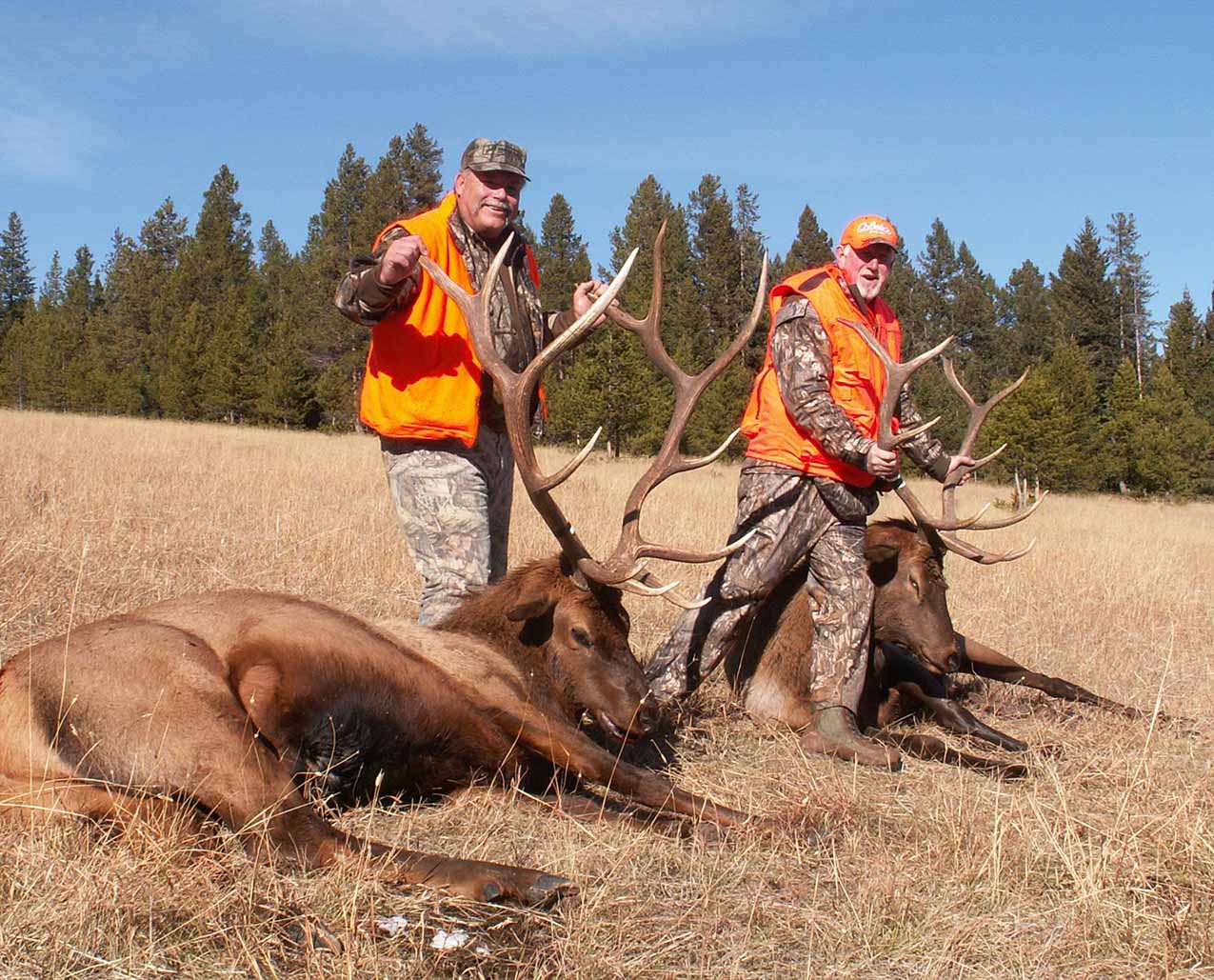 Royal Tine Outfitters