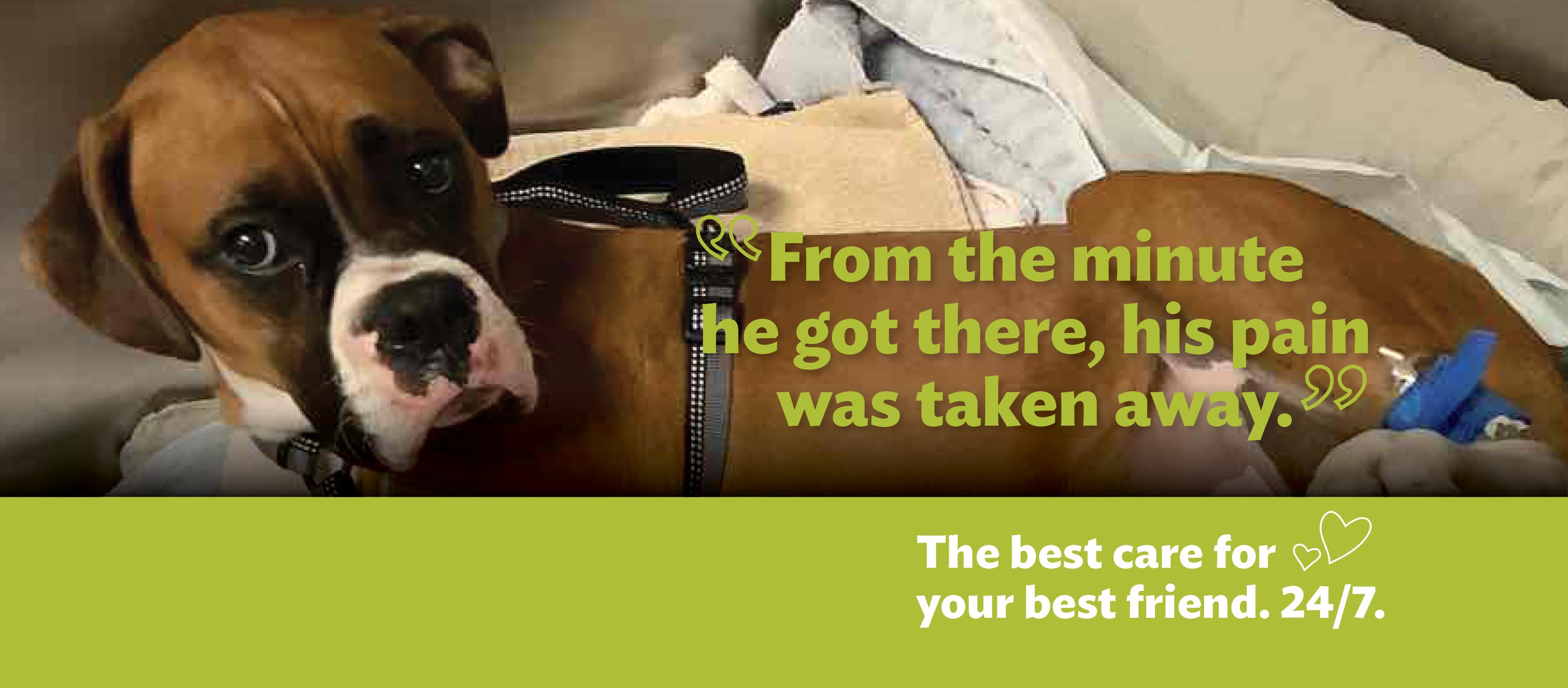 DoveLewis Veterinary Emergency & Specialty Hospital cover image