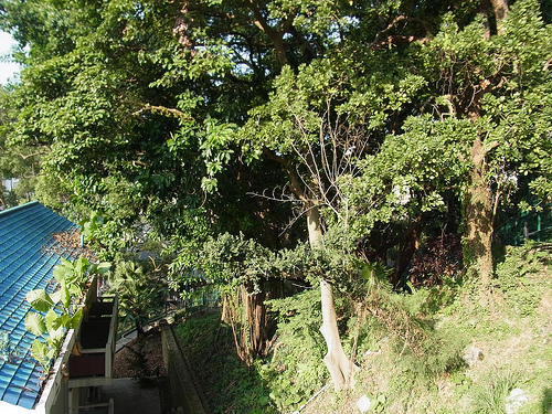 id:5257020786
hash: 1145519823bf59ad18db1ea3d228323