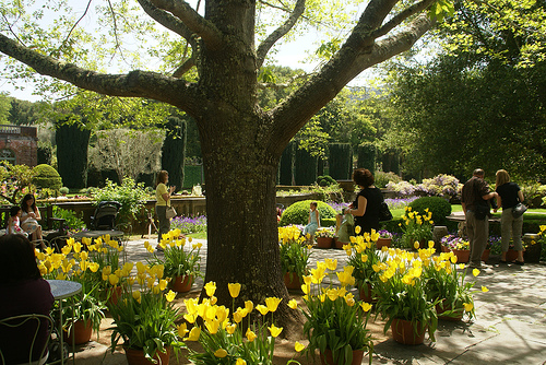 id:477615008
hash: 17316a29c8488448b36e631c3021ec