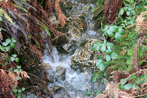 id:578590557
hash: 1b104b9da330c6523e567936a33363fa