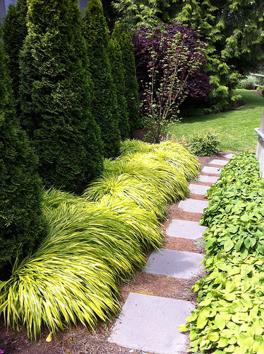 id:5802068707
hash: 2943ce0eef4a22fd41c1c640f4d86e