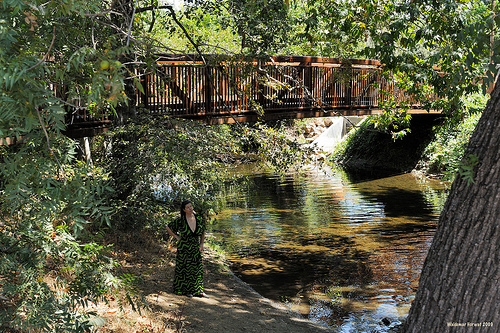 id:3831881535
hash: 2ac252e3eb15524670e5ea27717f9c