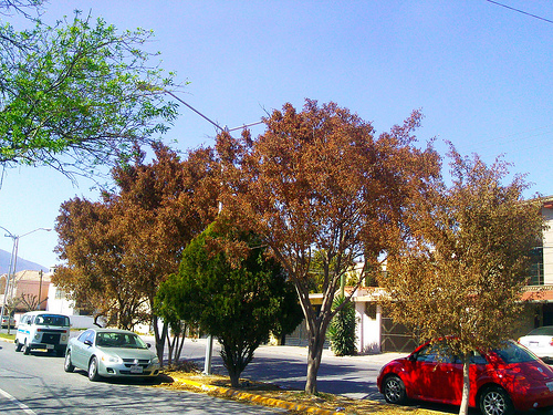 id:8061242778
hash: 3cbcd614735c9b8266aed7d8aa0b8ac