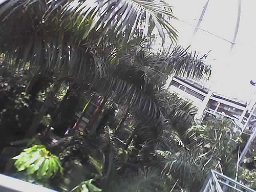 id:248649092
hash: 3ddee7ece4f8f9f77c2ad96147e3a2d