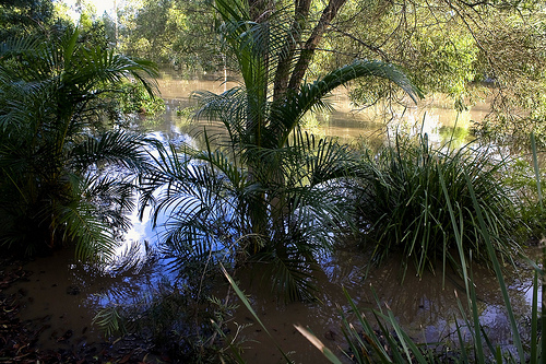 id:5350867603
hash: 4129d6cd221cea99a2ad829c319d221