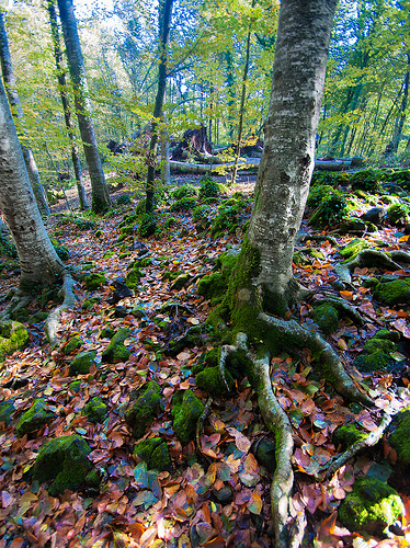 id:8300290166
hash: 5a9a58f93feb51ae5e32abf91dec26f