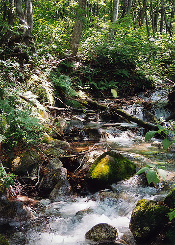 id:1407497160
hash: 76bfc42f47377332fe644fc75c7c556