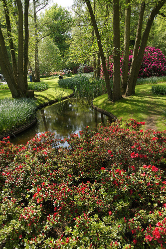 id:5705298326
hash: 78b25532d9a82fbf64a69349c6aa1e