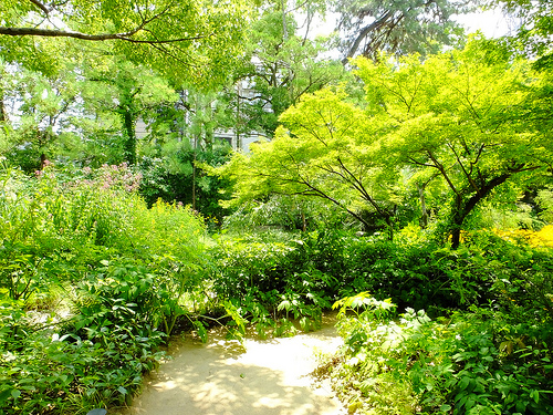 id:9335711281
hash: 7ebd1652a54ddfec8dd83ce0bca760