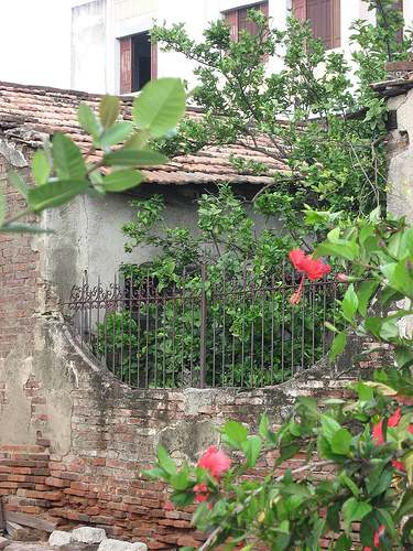 id:2035405364
hash: 9bd99bedd4b6cef962f5aa7782b06d51