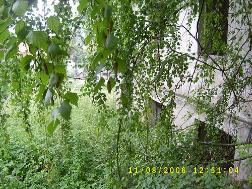 id:11362674204
hash: 9cba1fef0ac50a61022182a9c2f43c7