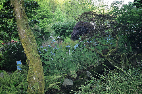 id:3357828203
hash: c07ff2335adec859cb1ed65fa3ecf29b