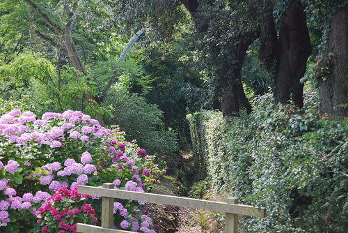 id:6956494934
hash: cf315ecdc1f8f20dfb9183c33d3aba