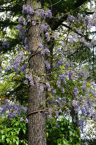 id:5752694986
hash: d6af907ad7ac7c90947b9bf9d17c5c47